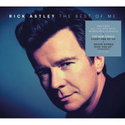 RICK ASTLEY - THE BEST OF...