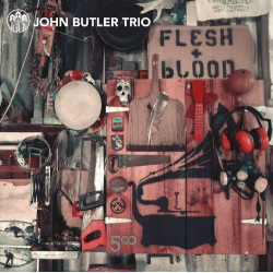 JOHN BUTLER TRIO - FLESH &...