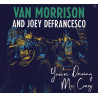 VAN MORRISON AND JOEY DEFRANCESCO - YOU'RE DRIVING ME CRAZY