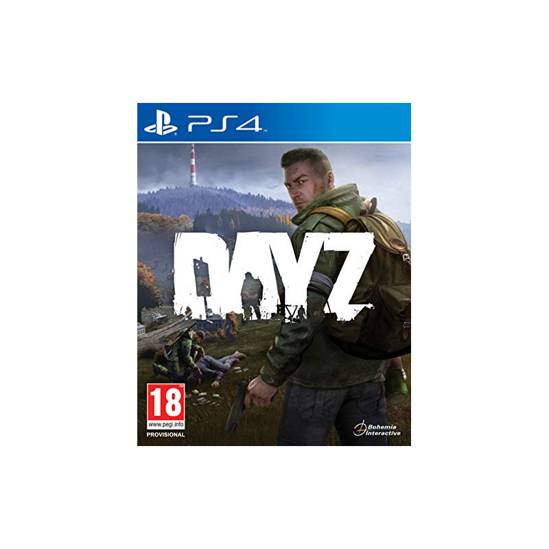 PS4 DAY Z