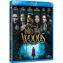 BR INTO THE WOODS - INTO...