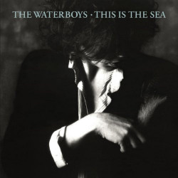 THE WATERBOYS - THIS IS THE...