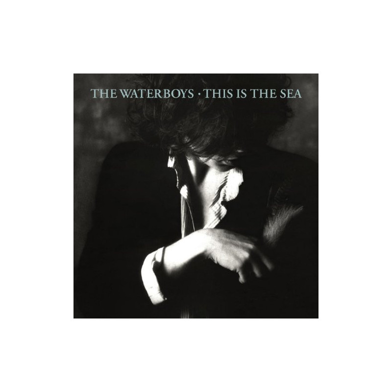 THE WATERBOYS - THIS IS THE SEA