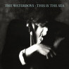 THE WATERBOYS - THIS IS THE SEA