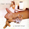 SONIC YOUTH - A THOUSAND LEAVES (LP-VINILO)