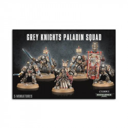 WH4 CABALLEROS GRISES - PALADIN SQUAD