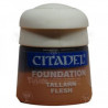 WH PINTURAS F CARNE TALLARN - CARNE TALLARN FUNDATION