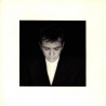 PETER GABRIEL - SHAKIN THE TREE-16 GOLDEN HITS -REMASTER