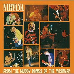 NIRVANA - FROM THE MUDDY BANKS OF THE WI