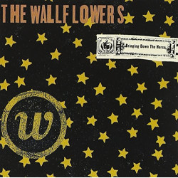 THE WALLFLOWERS - BRINGING...