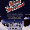 VARIOS WIN - WINTER WONDERLAND