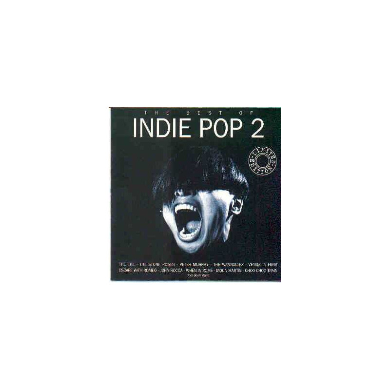 VARIOS THE BEST OF INDIE POP 2 - THE BEST OF INDIE POP 2