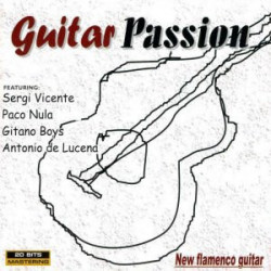 VARIOS GUITAR PASSION - GUITAR PASION -NEW FLAMENCO GUITAR