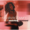 VARIOS SHAKEDOWN MARLEY REMIXED - SHAKEDOWN MARLEY REMIXED