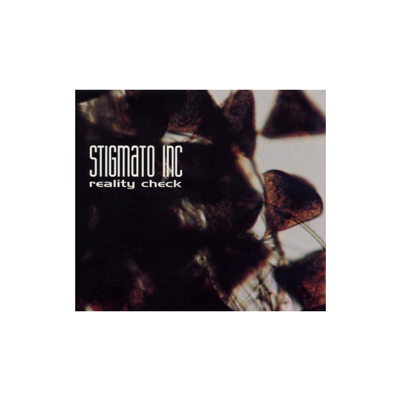 STIGMATO INC - REALITY CHECK