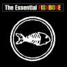 FISHBONE - THE BEST OF...