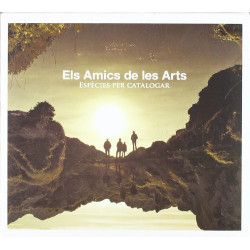 ELS AMICS DE LES ARTS -...