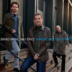 BRAD MEHLDAU TRIO - WHERE...