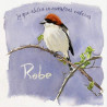ROBE - LO QUE ALETEA EN NUESTRAS CABEZAS (CD)