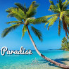 FERNAN BIRDY - PARADISE