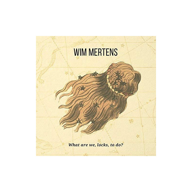 WIM MERTENS - WHAT ARE WE, LOCKS, TO DO?