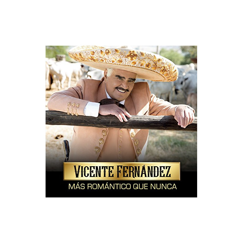 VICENTE FERNANDEZ - MAS ROMANTICO QUE NUNCA