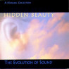 HIDDEN BEAUTY - THE EVOLUTION OF SOUND