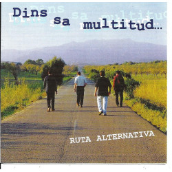 RUTA ALTERNATIVA - DINS SA...