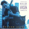 DAVID BROZA - SECOND STREET