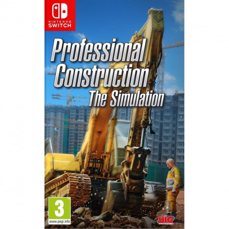 SW PROFESSIONAL CONSTRUCTION: THE SIMULATION