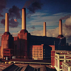 PINK FLOYD - ANIMALS