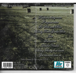 THE BLACK BEARDS - SOUTHERN ACCENTS FOR A ROCK GENERATION