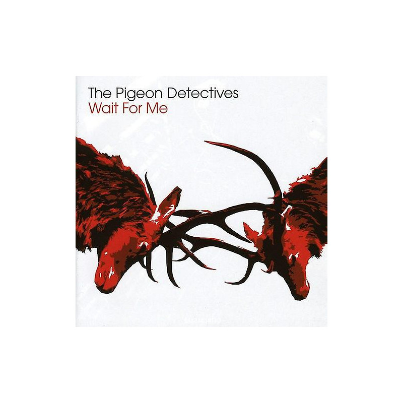THE PIGEON DETECTIVES - WAIT FOR ME