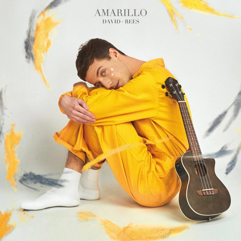DAVID REES - AMARILLO (CD)