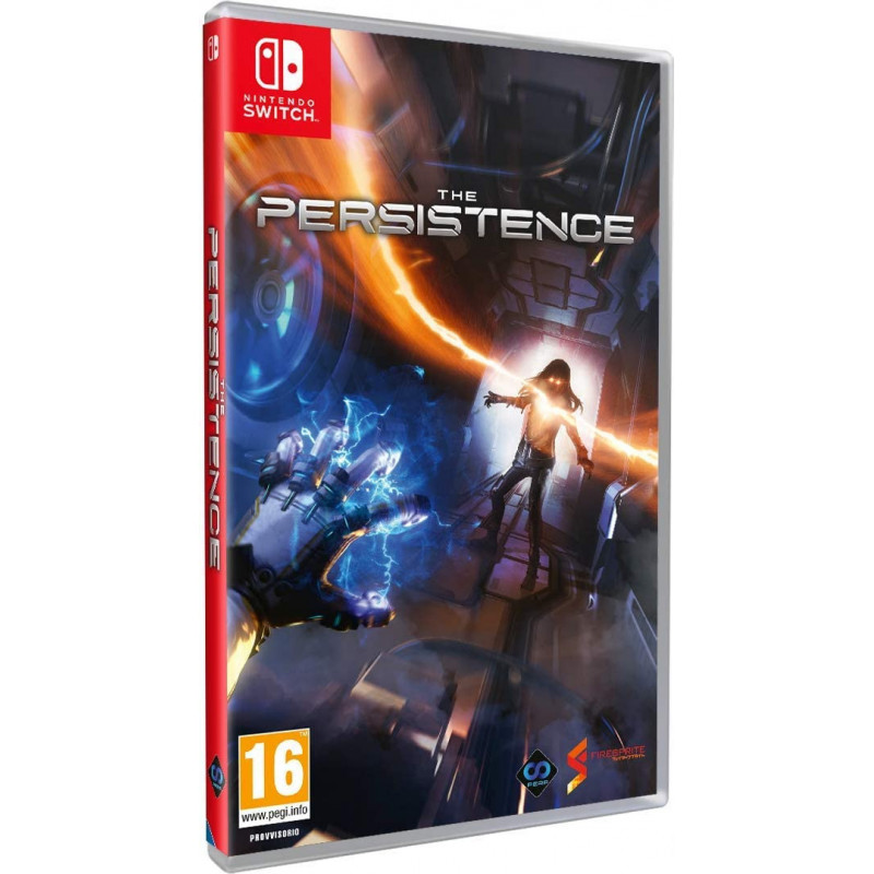 SW THE PERSISTENCE