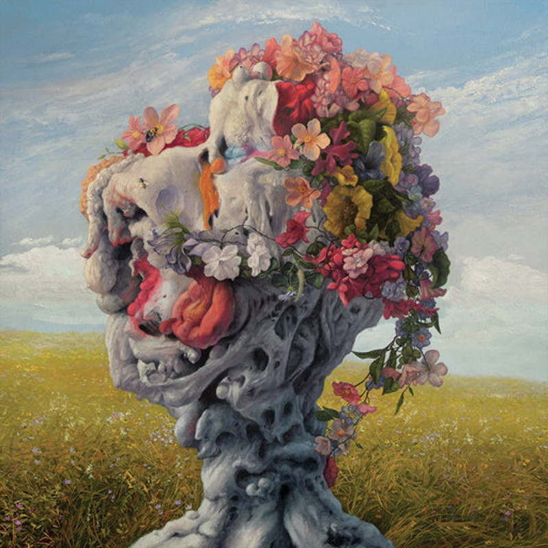 WILDERUN - VEIL OF IMAGINATION (2 LP-VINILO)