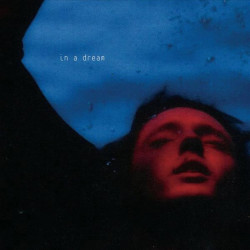 TROYE SIVAN - IN A DREAM (LP-VINILO) COLOR