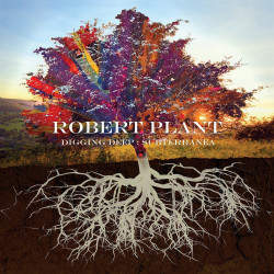 ROBERT PLANT - DIGGING...