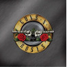 GUNS N' ROSES - GREATEST HITS (2 LP-VINILO) (COLOR)