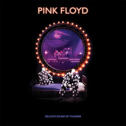 PINK FLOYD - DELICATE SOUND...
