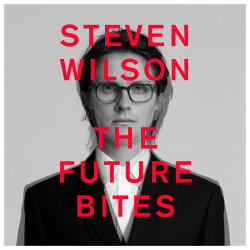 STEVEN WILSON - THE FUTURE...