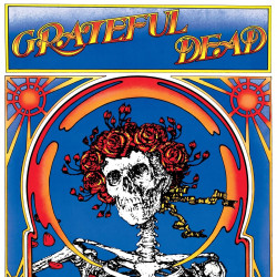 GRATEFUL DEAD - SKULL &...