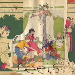 ANIMAL COLLECTIVE - FEELS (2 LP-VINILO)