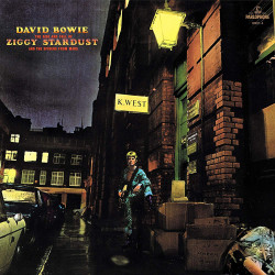 DAVID BOWIE - THE RISE AND...