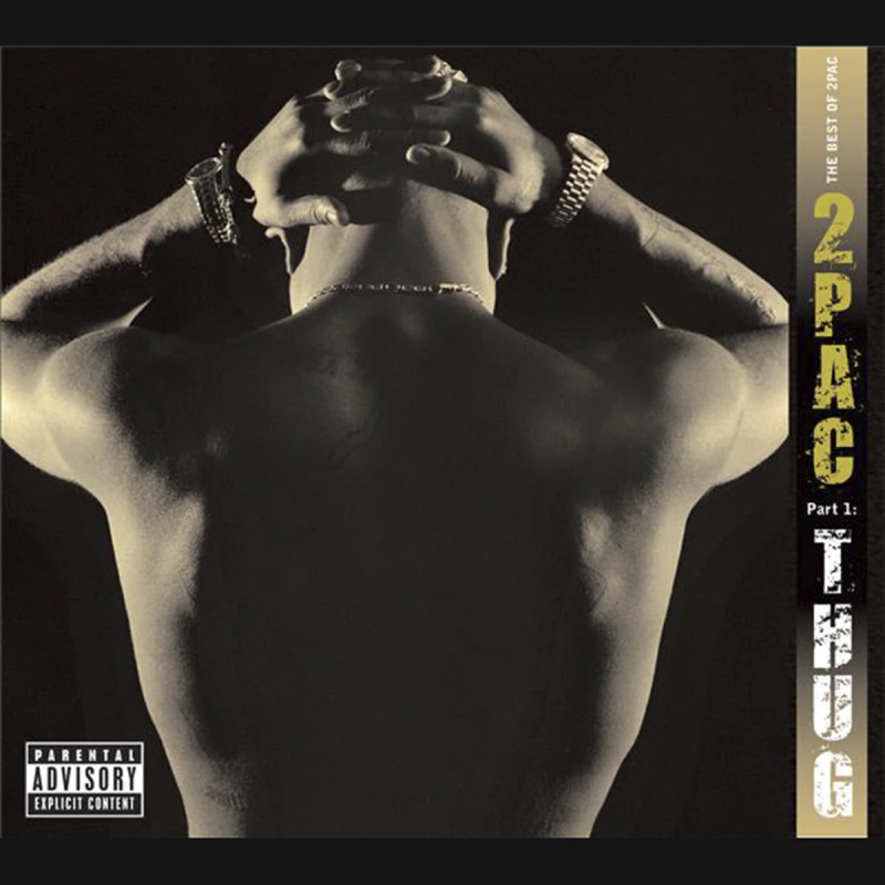 2PAC - THE BEST OF PART 1: THUG (2 LP-VINILO)