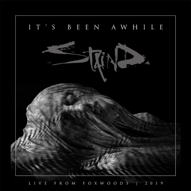 STAIND - IT'S BEEN A WHILE (2 LP-VINILO)