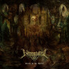 NECRONAUTICAL - SLAIN IN THE SPIRIT (CD)