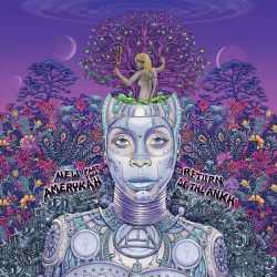 ERYKAH BADU - NEW AMERYKAH PART TWO (2 LP-VINILO) COLOR