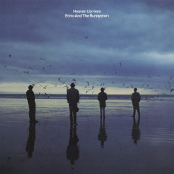 ECHO & THE BUNNYMEN -...