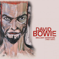DAVID BOWIE - BRILLIANT ADVENTURE (1992-2001) (18 LP-VINILO) BOX